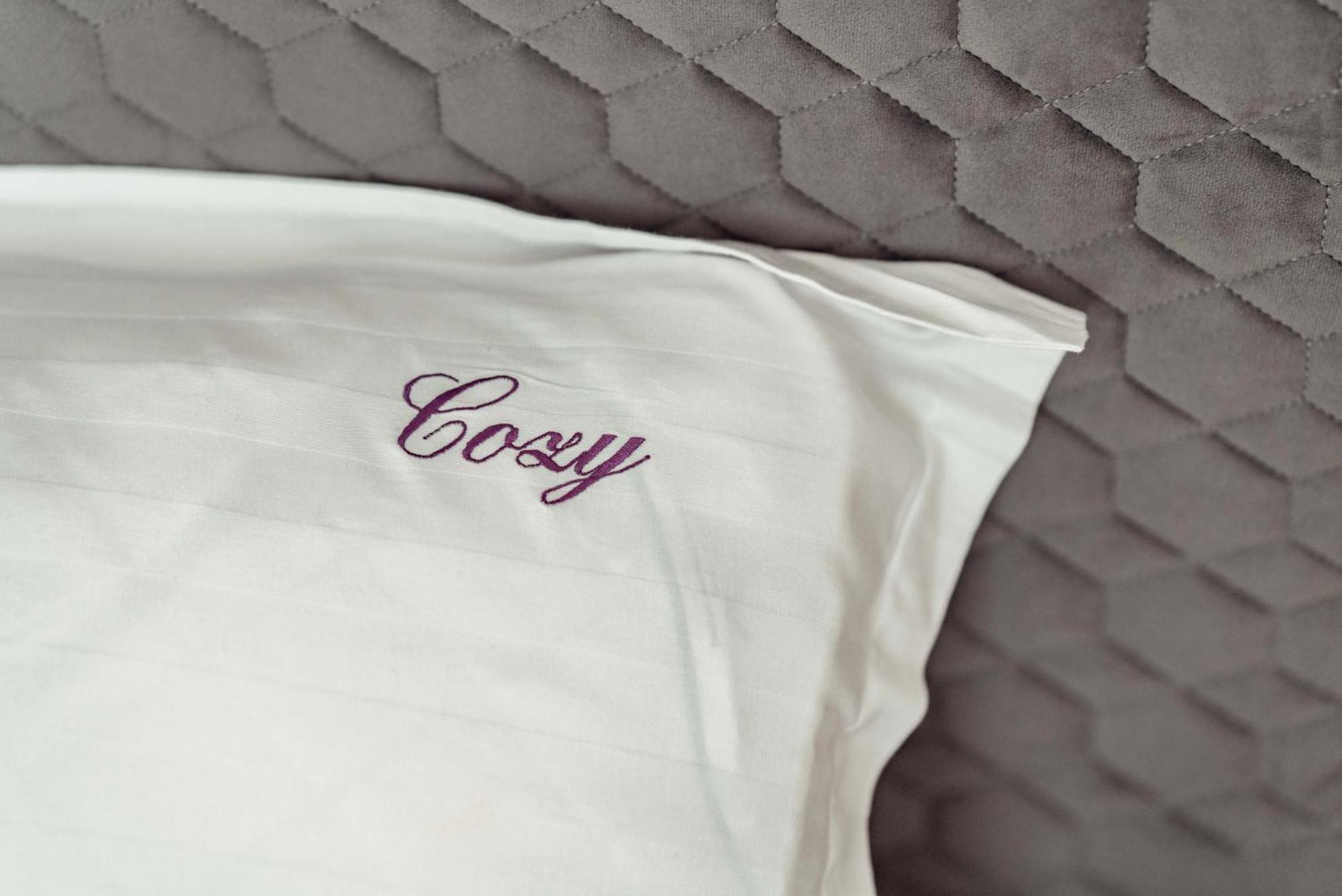 Cozy Aparthotel - Ultracentral Luxury Apartments יאשי מראה חיצוני תמונה